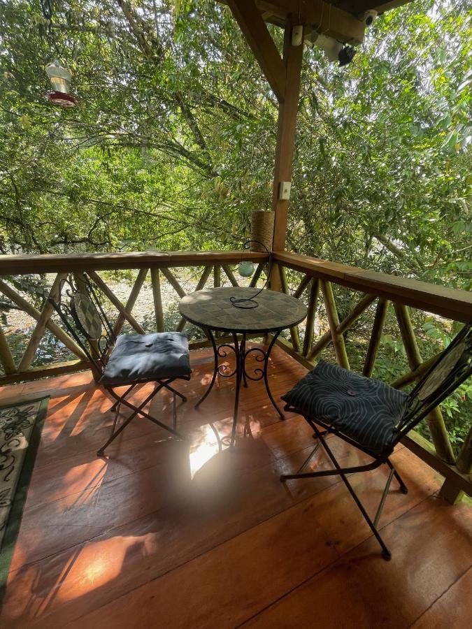 Caoni Riverside Lodge Пуэрто-Кито Экстерьер фото